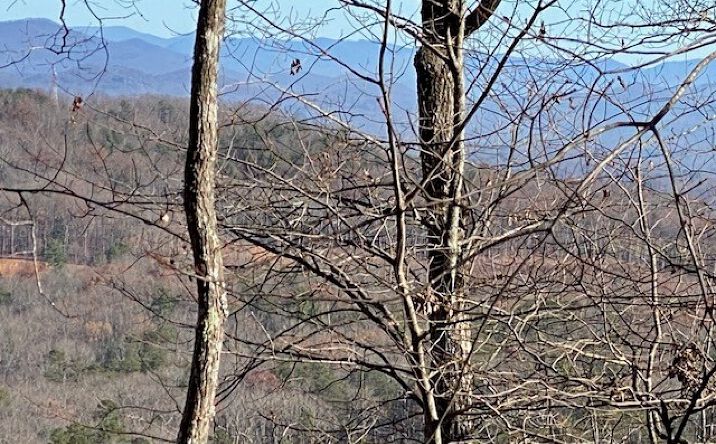 LT 3 Sunrock Mountain Trc, Blue Ridge