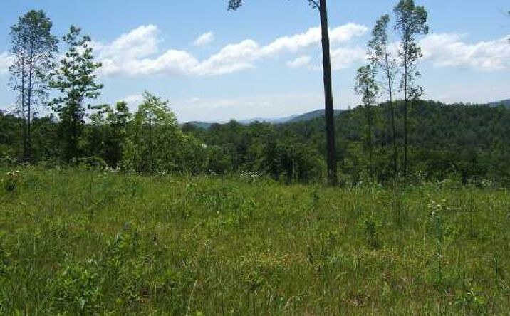 Mi-Po Road, Murphy