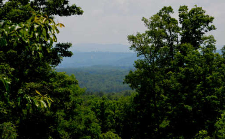 The Orchard Lot #44, Blairsville