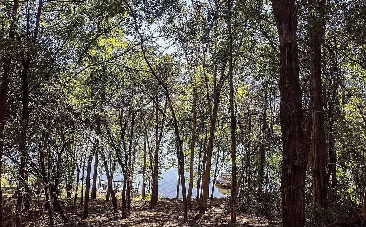 66 Tammy Trail, Athens
