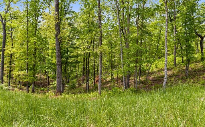 Lot 39 Jakes Landing Way, Ellijay