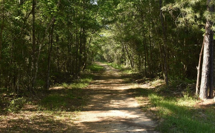 Tbd Oceola Rd, Loranger