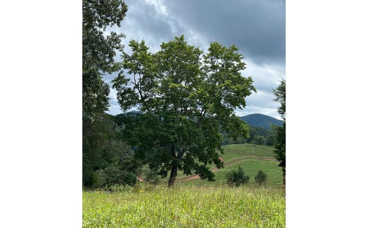 Mountain Road, Morganton