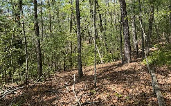 Lot 9 Marjorie Avenue, Ellijay