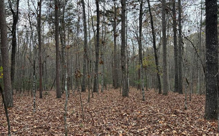 3.5AC Liberty Hill Road, Morganton