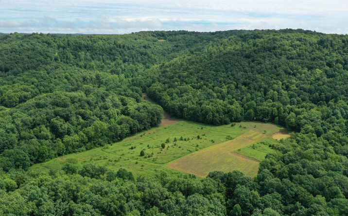 Coon Hollow Road, Brushcreek Twp