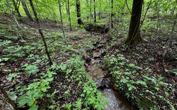 Fisher Creek Road, Talking Rock