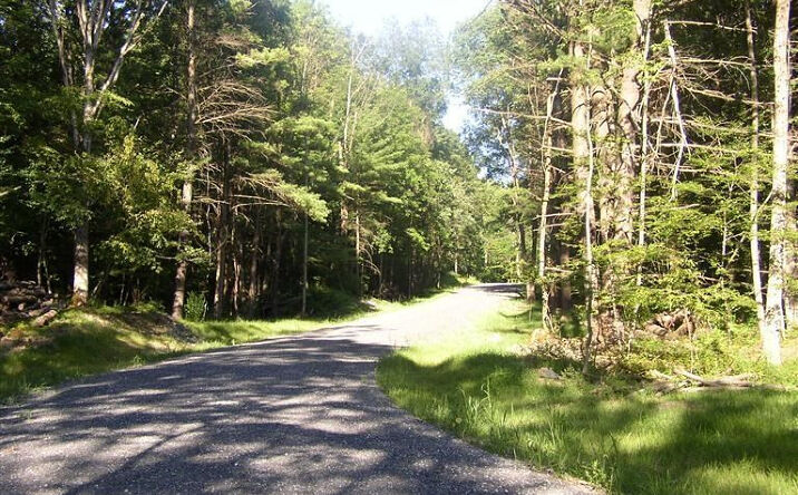 Collins Street, Hillsdale