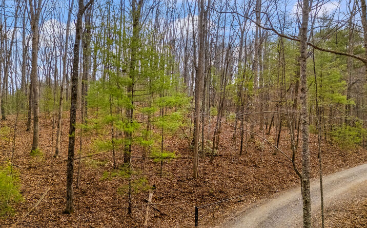 0 GUY ELLER RD, MURPHY