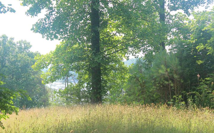 LT 1 Pioneer Trail, Hiawassee