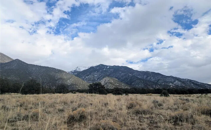 3288 Camino Del Rey, Crestone