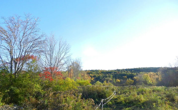 Memorial Drive, Austerlitz