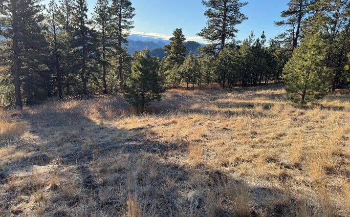 NHN Pryor Creek Lane, CASCADE