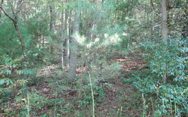 11&12 Noontootla Ridge Court, Blue Ridge