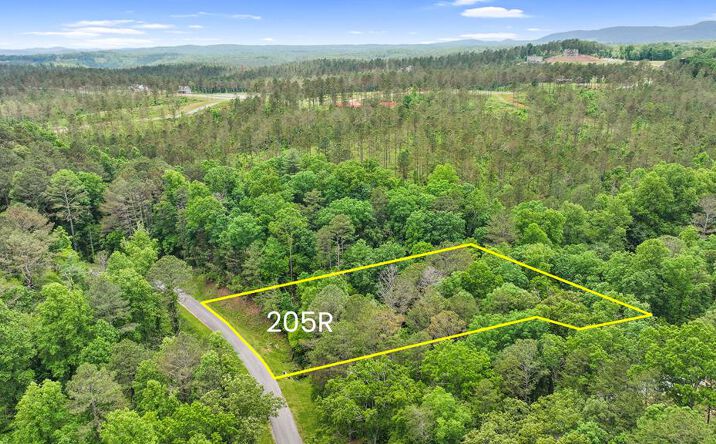 lot 205r Pinnacle Drive, Ellijay