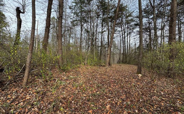 Pine Knoll Farms Loop, Stuart