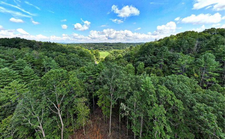 LOT D Dills Road, Blue Ridge