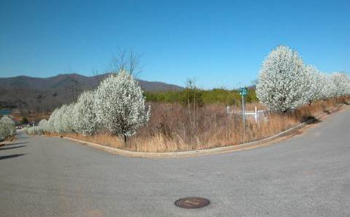 Big Sky Drive, Hiawassee