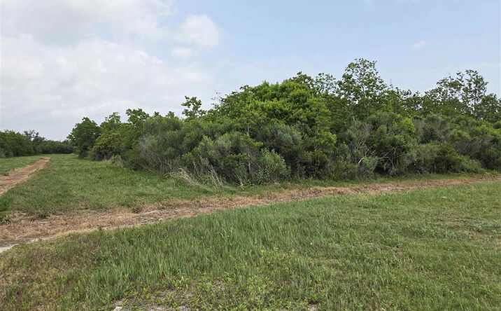 Christy Drive, Hackberry