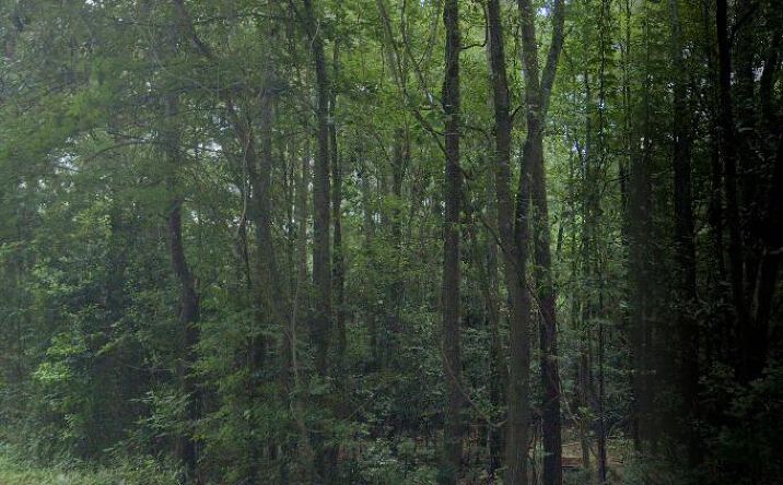6.5a Bradleyville Road, North Augusta
