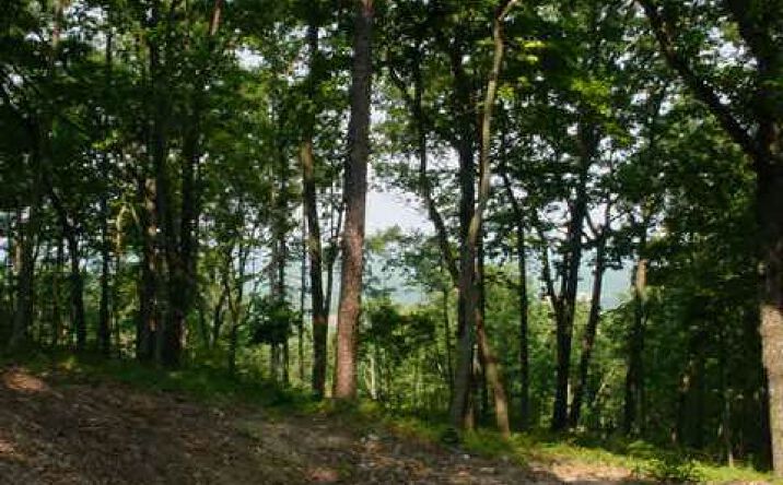 189 Boulder Falls Road, Jasper