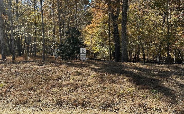 LOT 8 Clear Creek Preserve Way, Ellijay