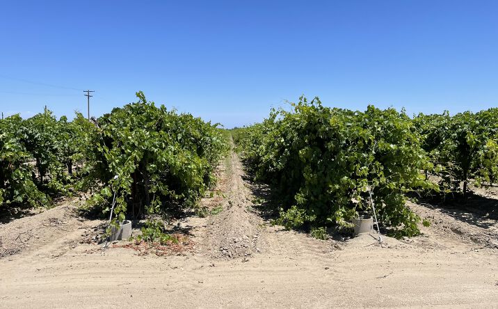 West Shaw Avenue, Fresno