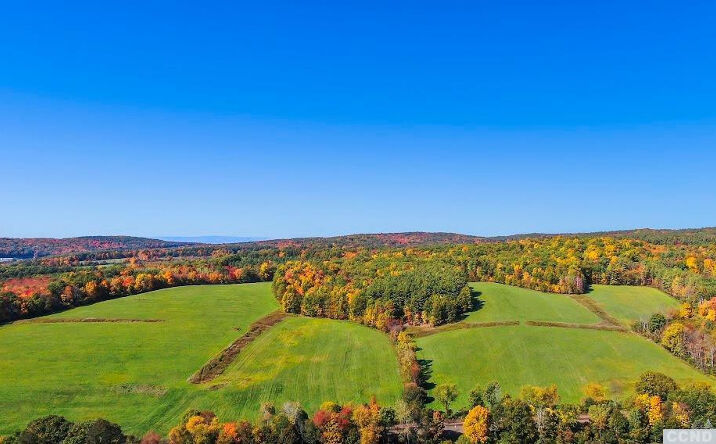 State Route 295, Chatham
