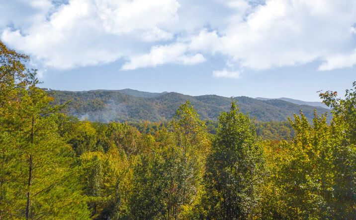 LT477 South Dream Catcher, Blue Ridge