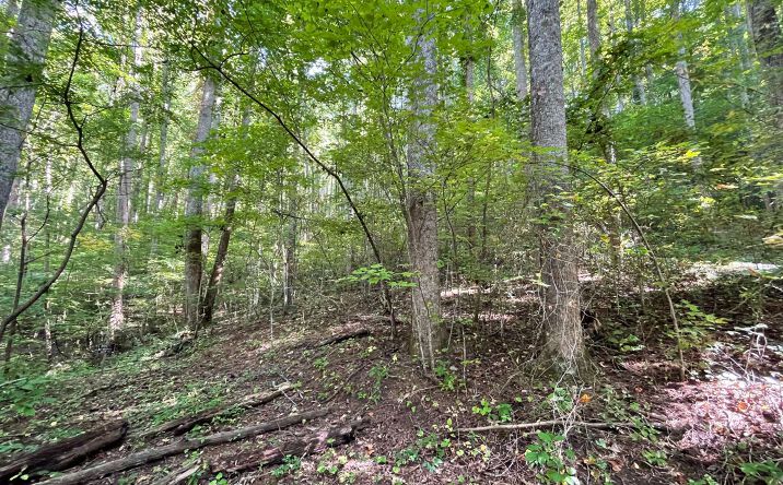 2089 Emmas Way, Hiawassee
