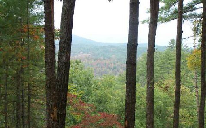 LT 20 Overlook Martins Circle, Murphy