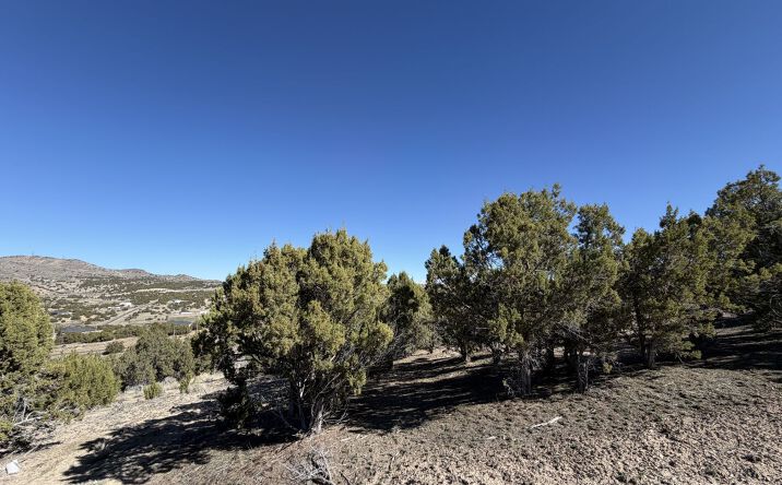 Andy's Way, Elko
