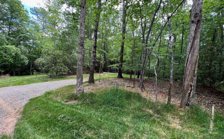 Sadie Way, Blairsville