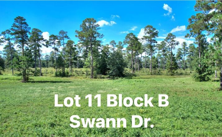 TBD Swann Dr. Lot 11 Block B, Cordele