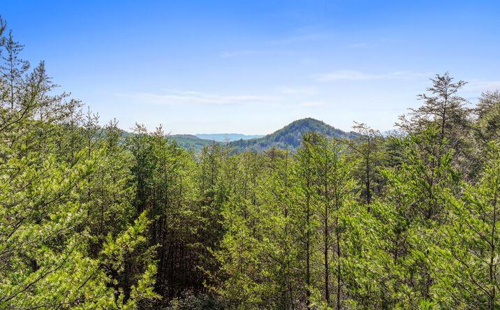 7.18 Ac Mcjunkin Road, Turtletown