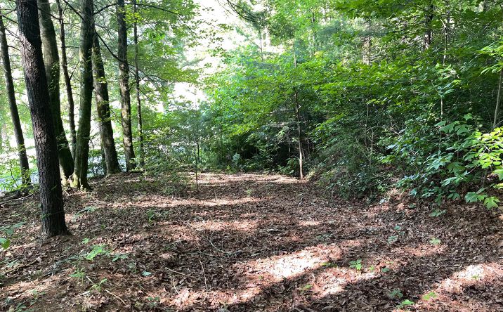 1.58 Barefoot Road, Hiawassee