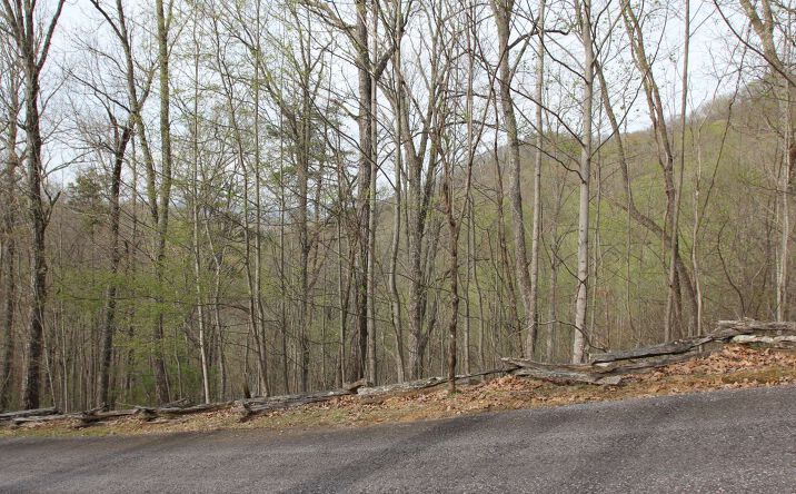 L 57 Raven Ridge Sd, Mineral Bluff