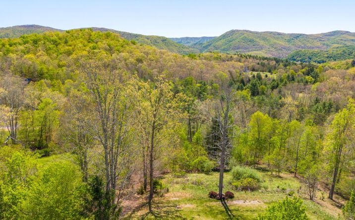 408 Fox Ridge Dr, Caldwell