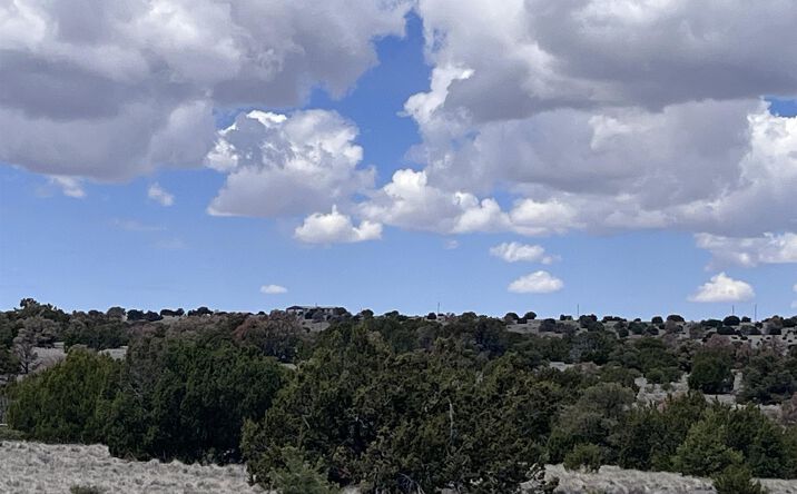 69 Wildflower Trail, Quemado