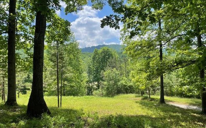 1.65 Acs Daves Road, Morganton