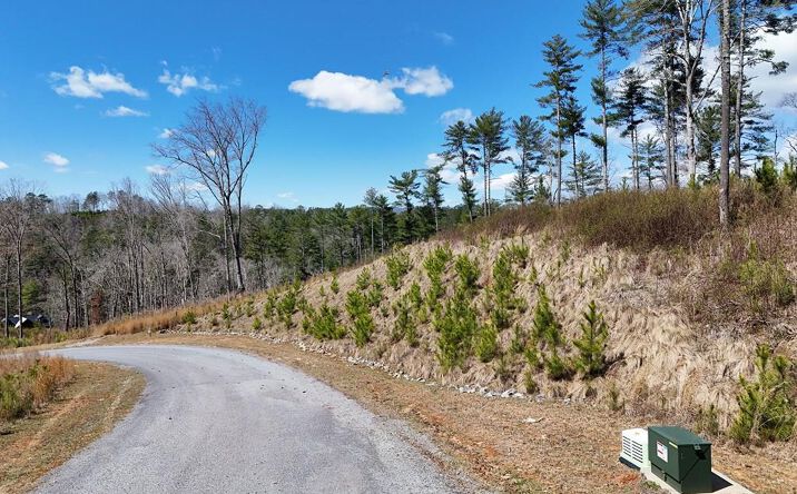 Lot 253 High River Crossing, Ellijay