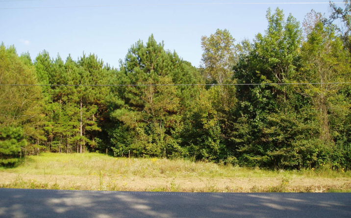 Woods Road, Meridian