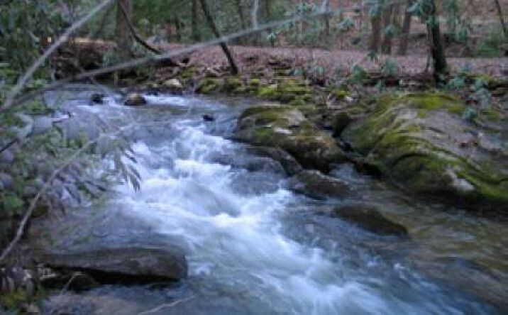 Davis Creek Road, Murphy
