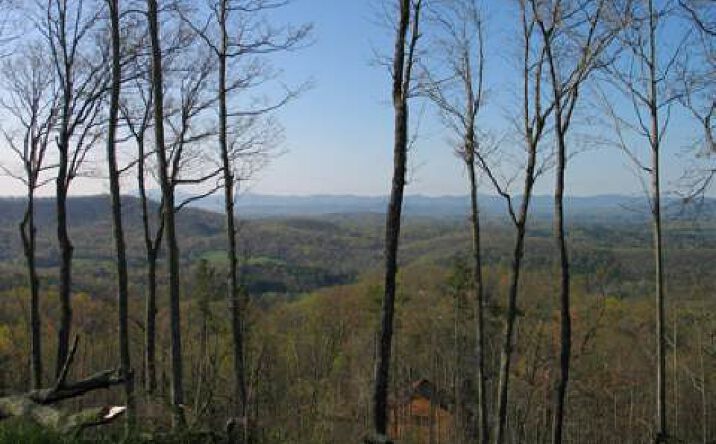 Five Forks Drive, Murphy