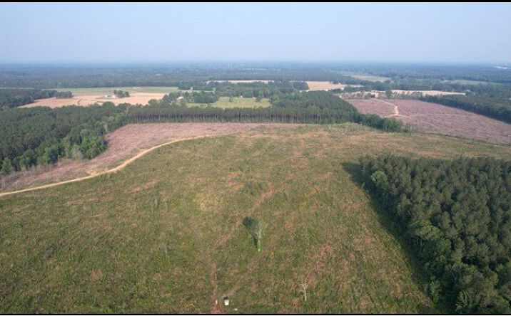45.8 Acres in Rankin County, Pelahatchie