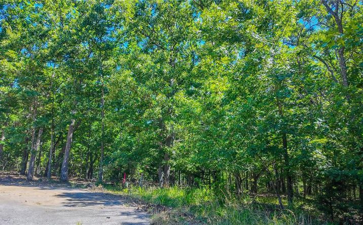 Lot #1318 Champion Court, Sunrise Beach