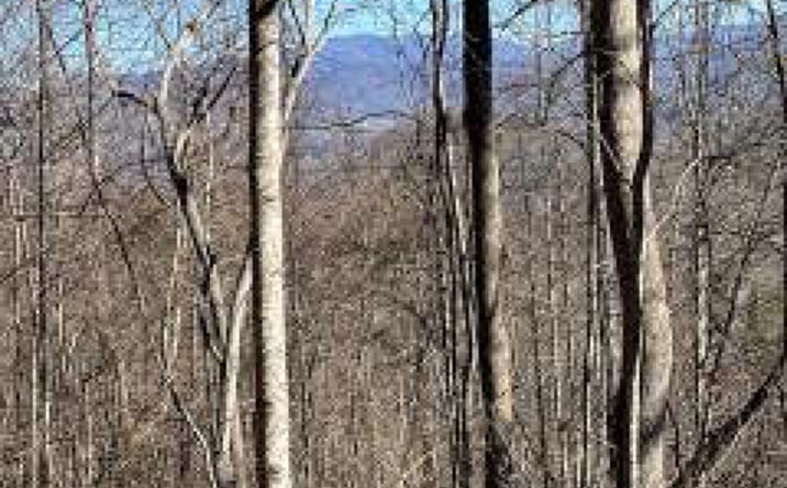 Lot 29 Hidden Summit Road, Hiawassee