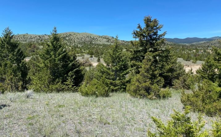 17 Keating Gulch Road, Townsend