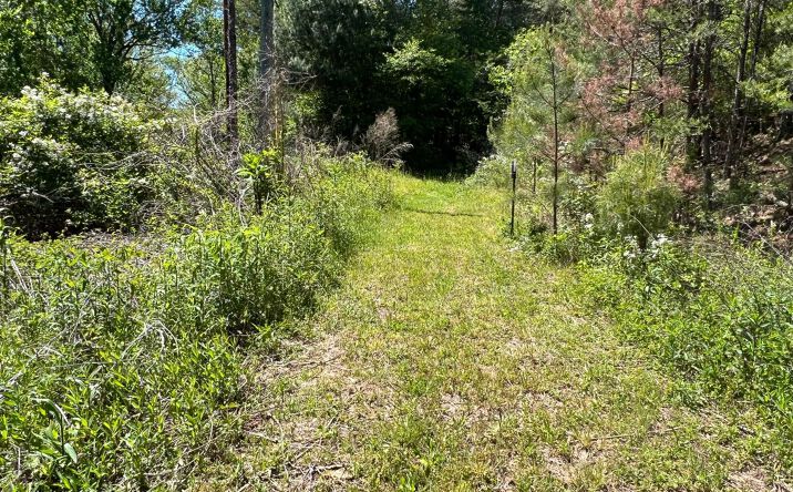 393 Old Orchard Road, Ellijay