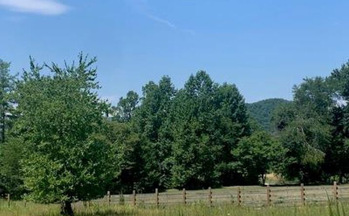 4 Lots Rock Creek Circle, Blue Ridge
